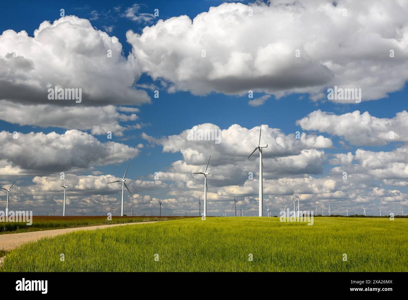 Wind turbines in a field under a blue sky with clouds Stock Photo - Alamy