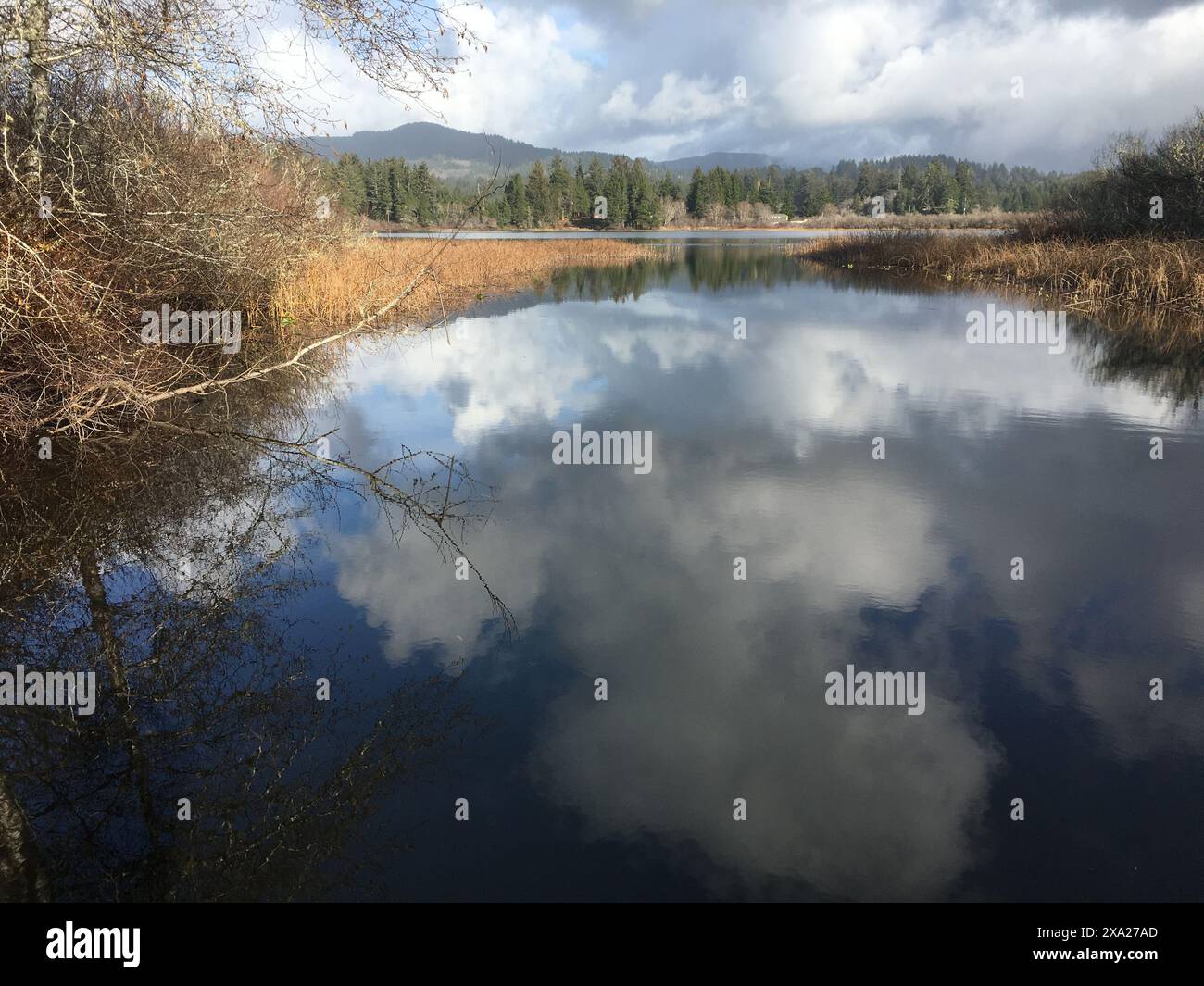 A scenic view of Sutton Lake on a sunny day with cloud reflections in calm waters, Florence, Oregon Stock Photo