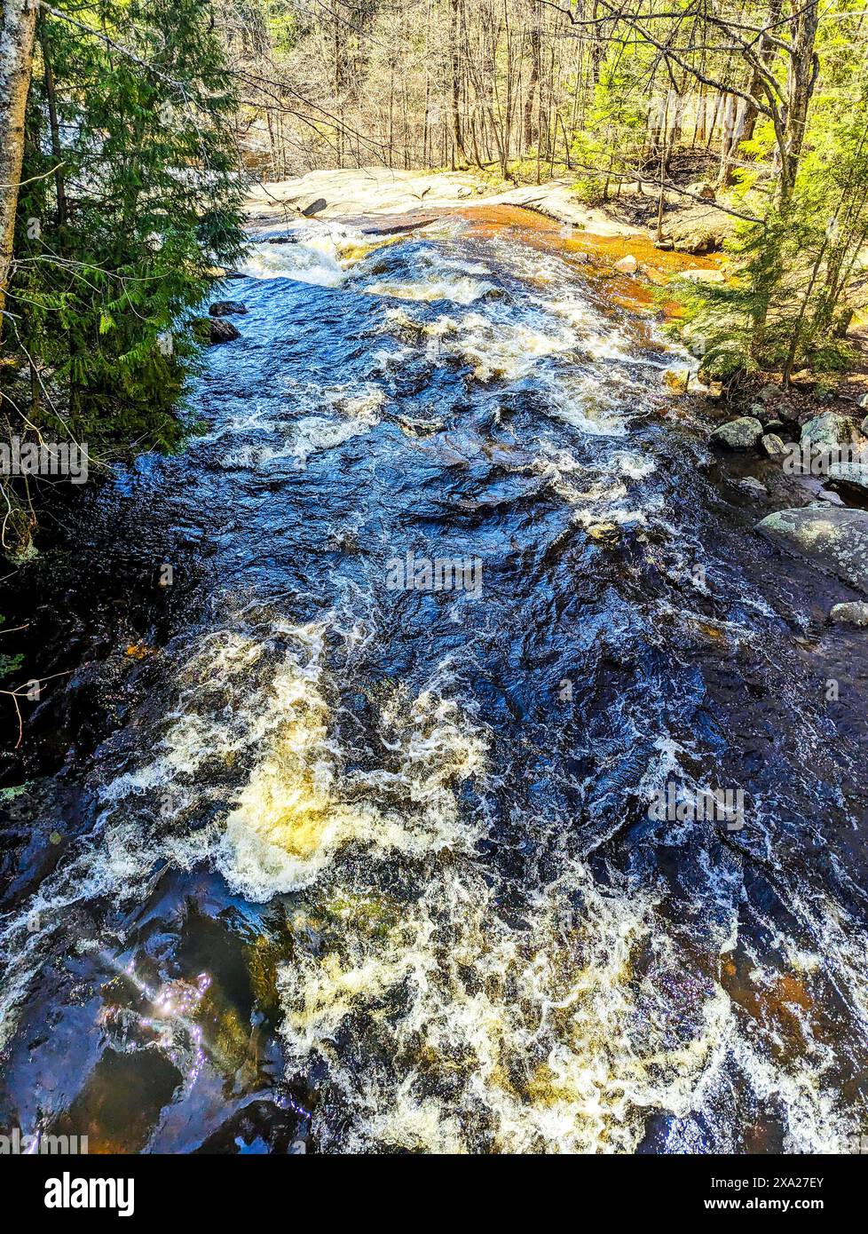 Fast flow river in forest hi res stock photography and images Alamy