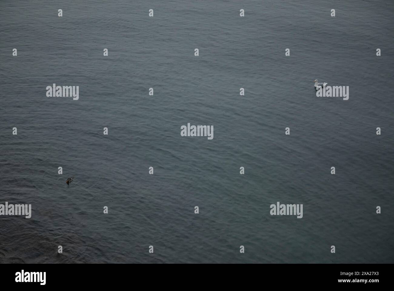 An aerial view of a small boat hi-res stock photography and images - Alamy