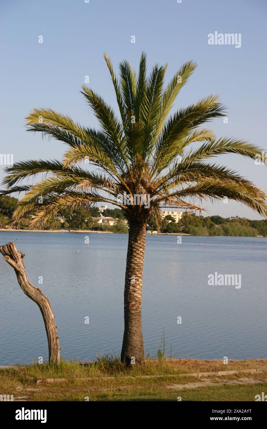 Leisure water body hi-res stock photography and images - Alamy