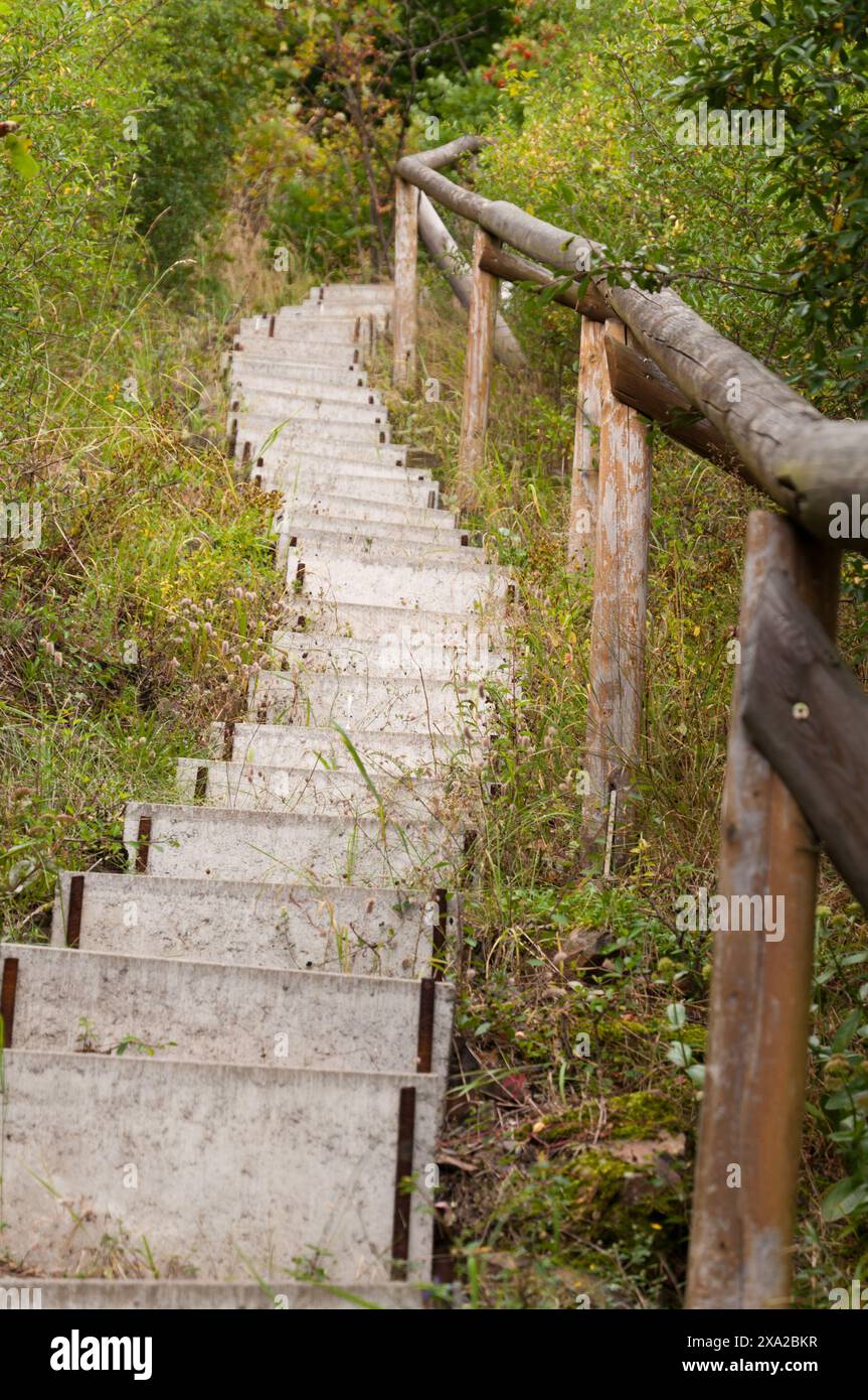 A wooden staircase with railings amidst foliage in Thuringian Slate Hills, Germany Stock Photo