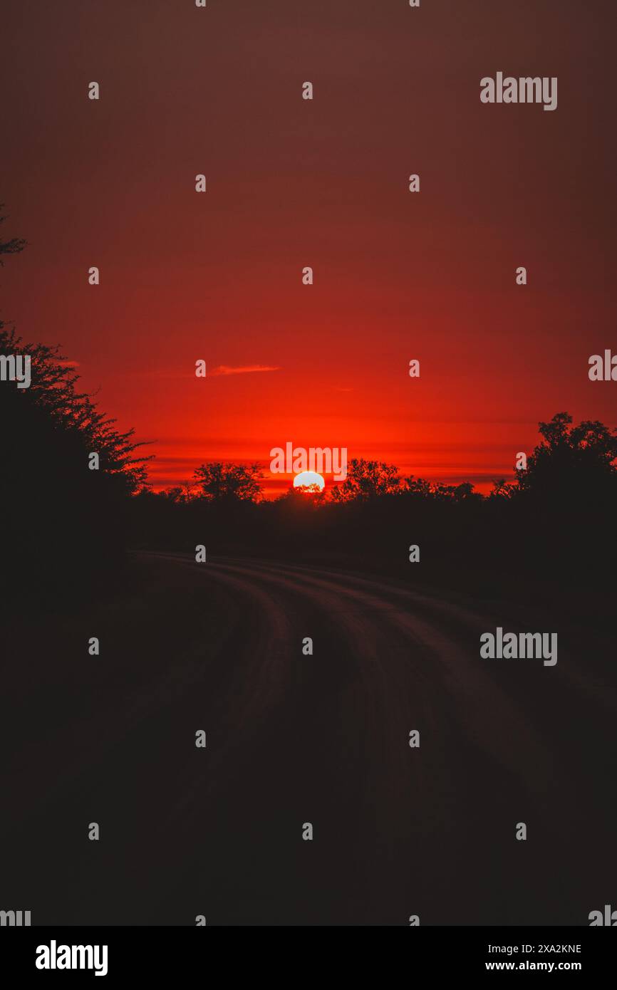 This stunning photo captures a vibrant sunset over a winding road in ...