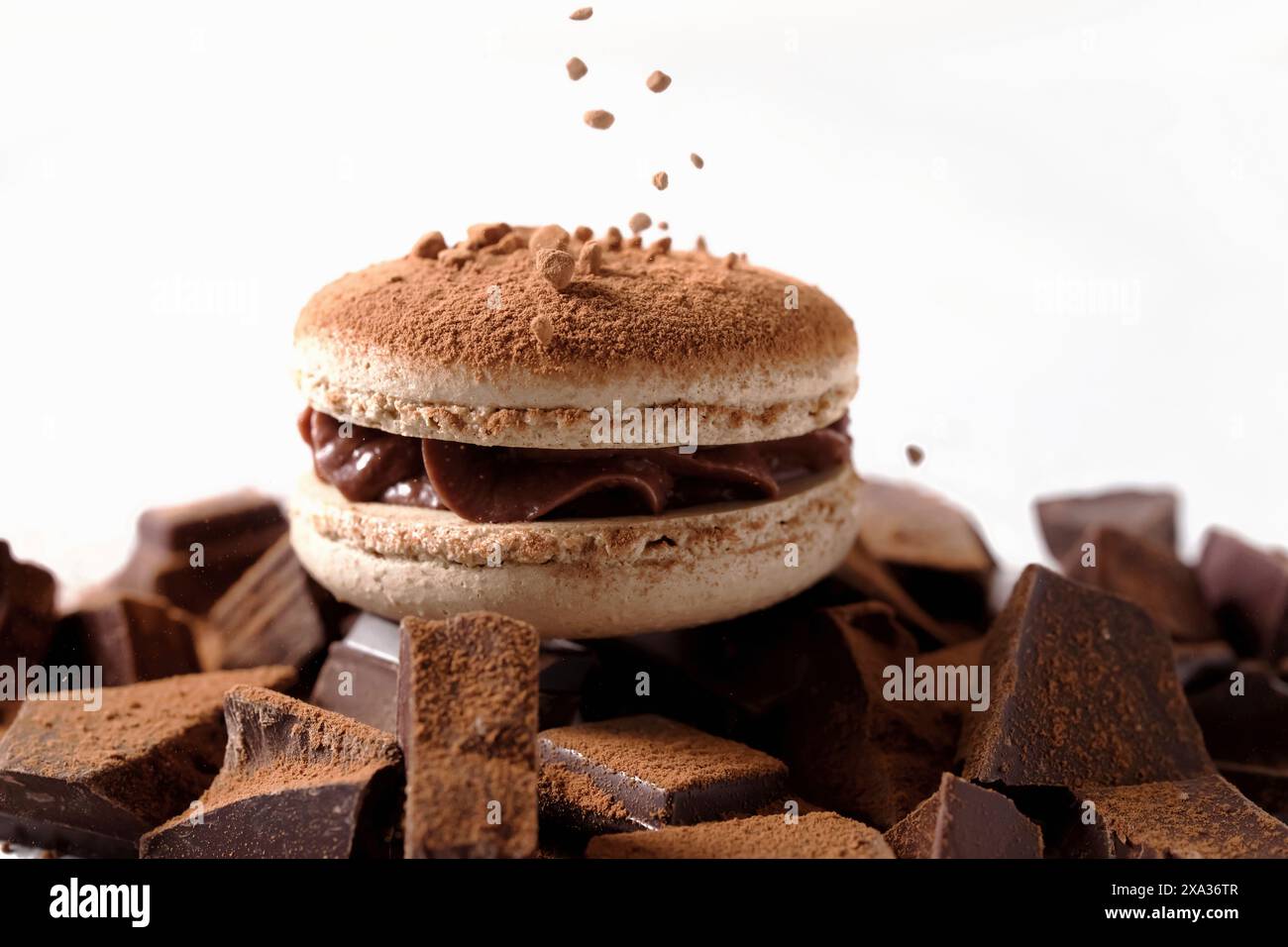 Chocolate macaron Stock Photo