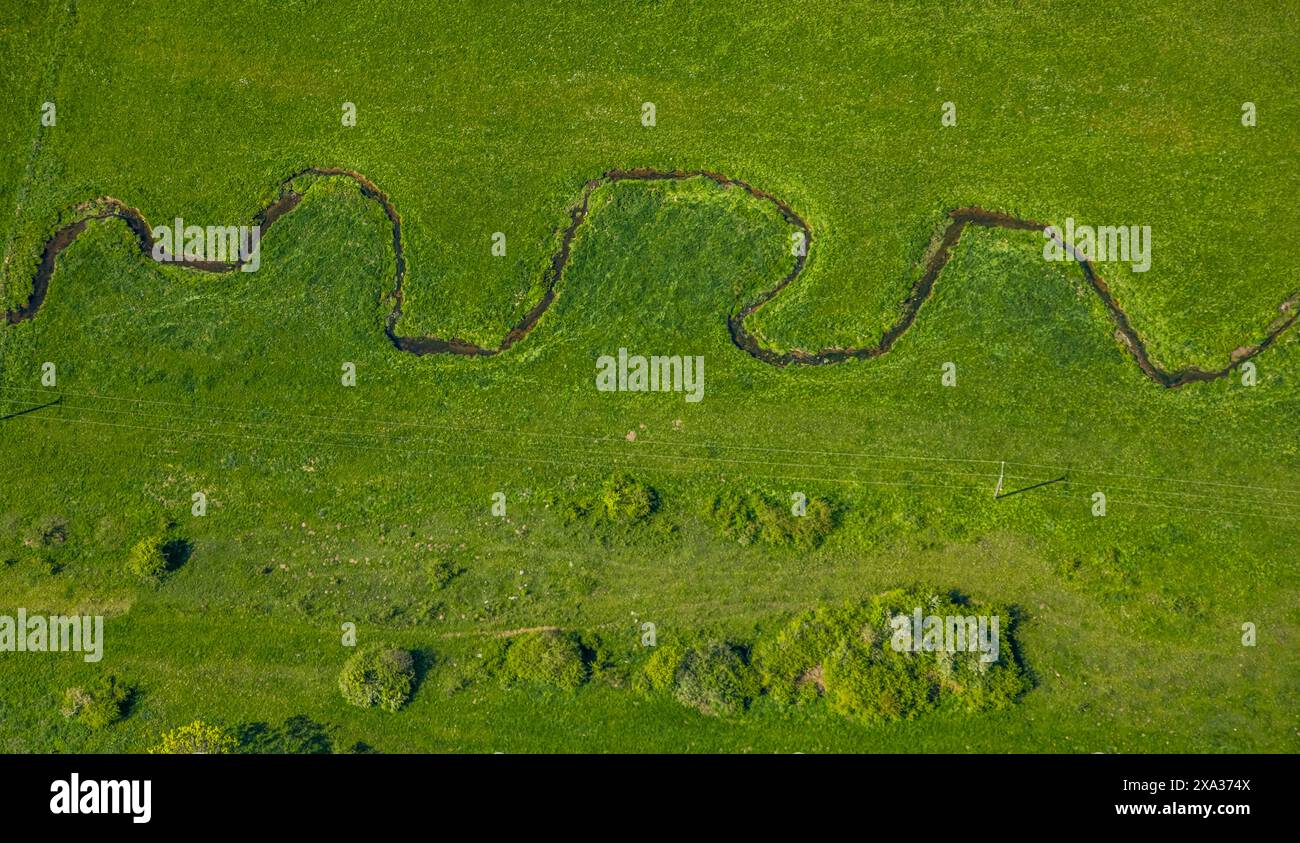 Aerial view, river meander Hunderbecke, natural landscape, Brilon, Sauerland, North Rhine-Westphalia, Germany Stock Photo