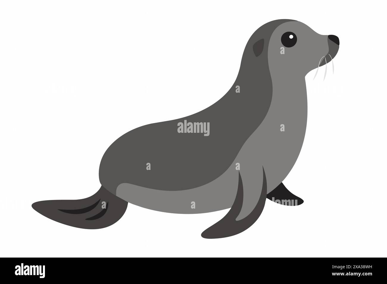 Cartoon illustration of a cute seal isolated on white background ...