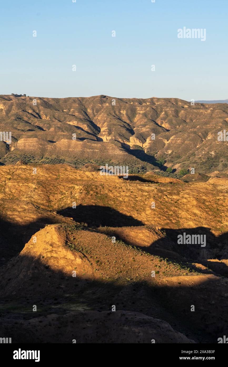 Upper pliocene hi-res stock photography and images - Alamy