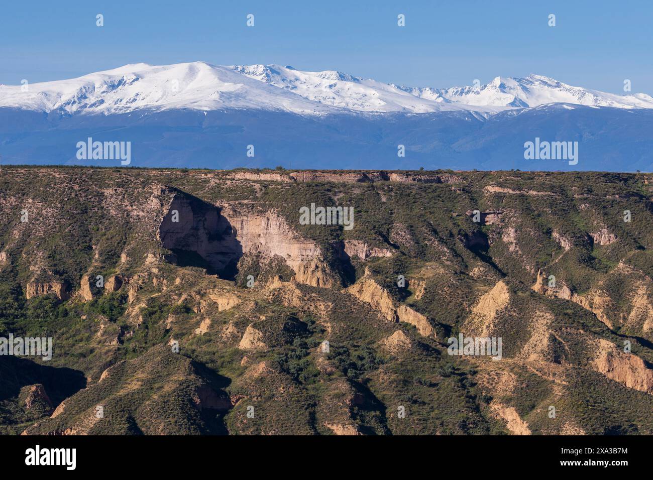 Upper pliocene hi-res stock photography and images - Alamy