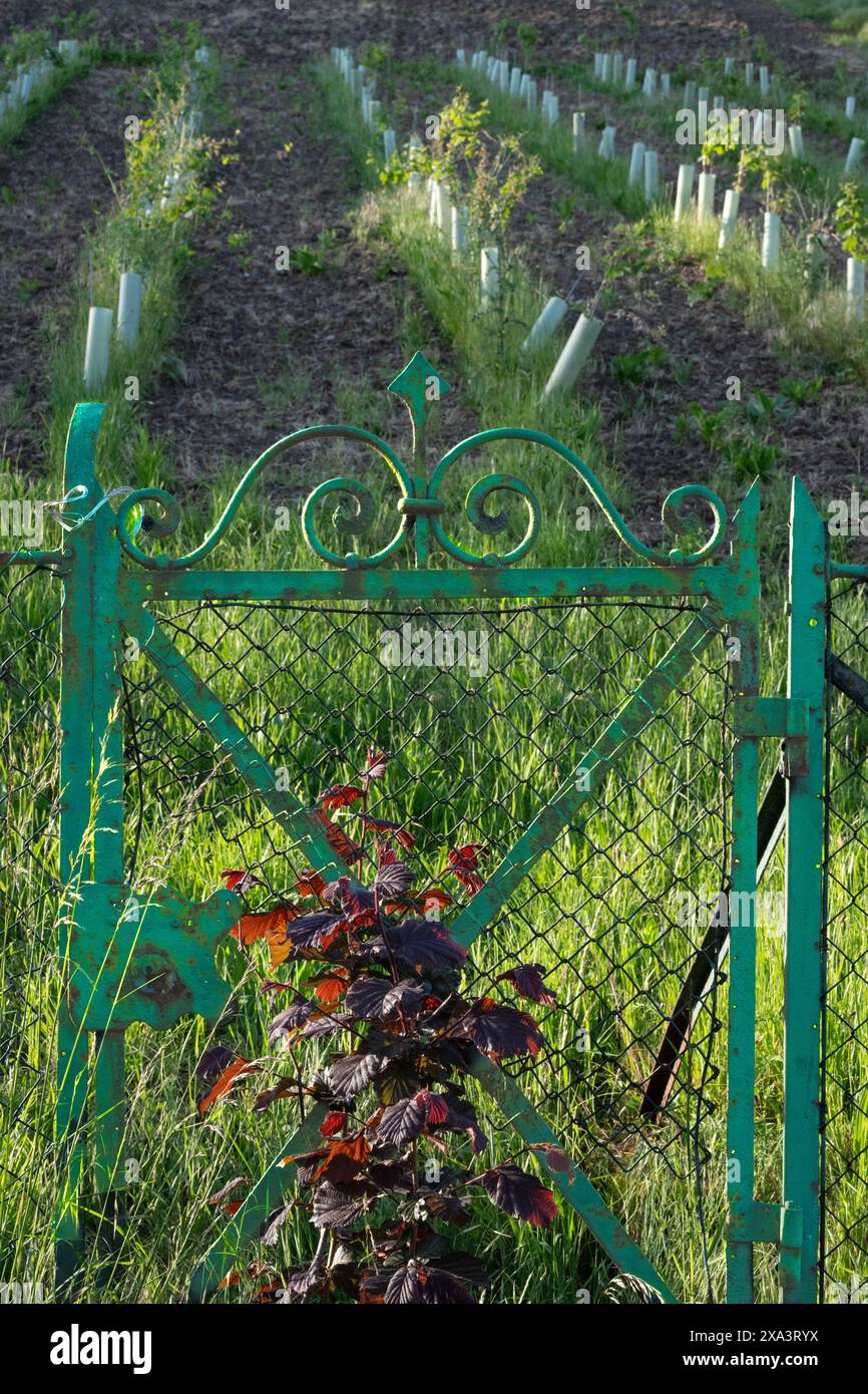 Spring gate vineyard hi-res stock photography and images - Alamy