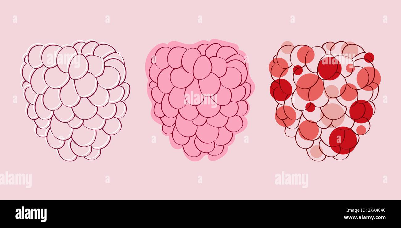 Three stages of a raspberry illustration, showing outline, filled, and shaded. Stock Vector