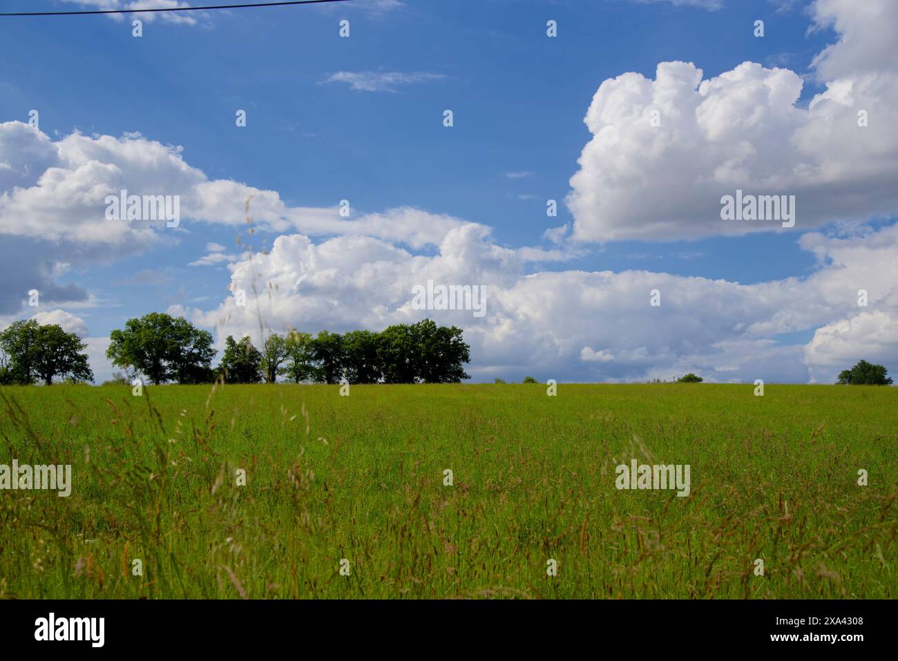 a field of green grass under a cloudy blue sky Stock Photo - Alamy