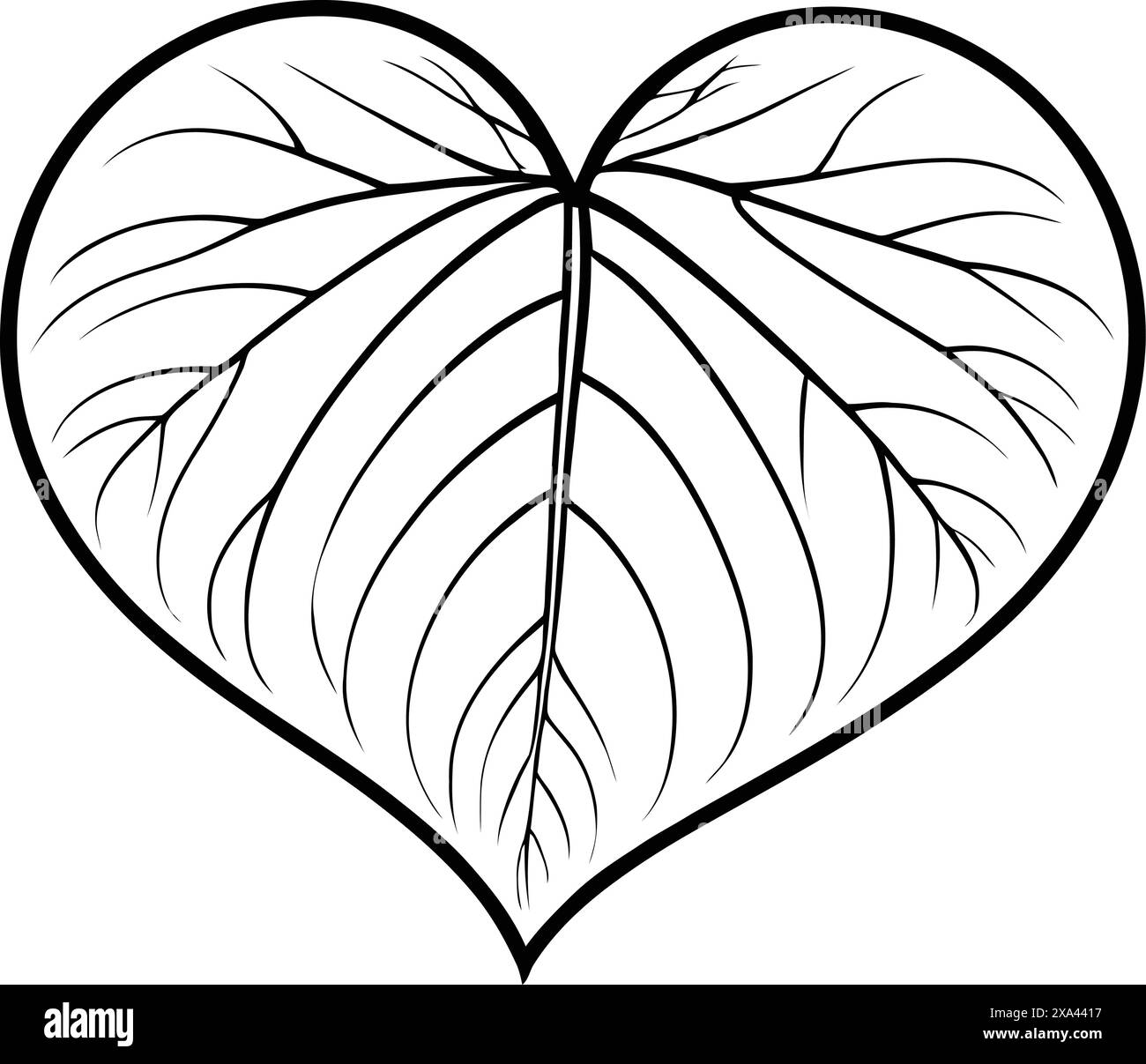 Line art heart shape leaf. Abstract leaf of a plant with veins and