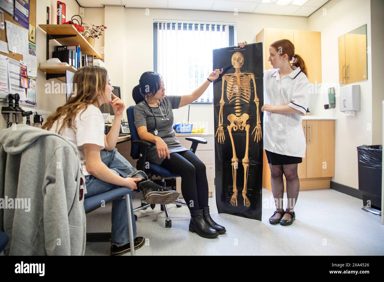 Doctor and assistant show skeleton picture to patient in a medical practice Stock Photo