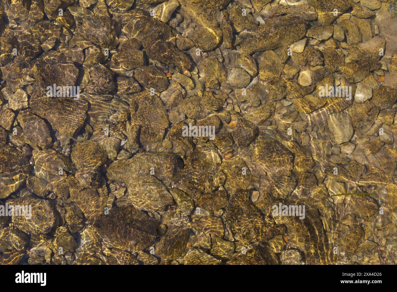 above photo shot of an Adriatic sea water surface with pebbles at the ...