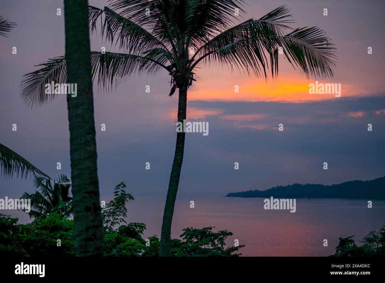 A serene sunset over the ocean framed by silhouetted palm trees under a dusk sky. Stock Photo