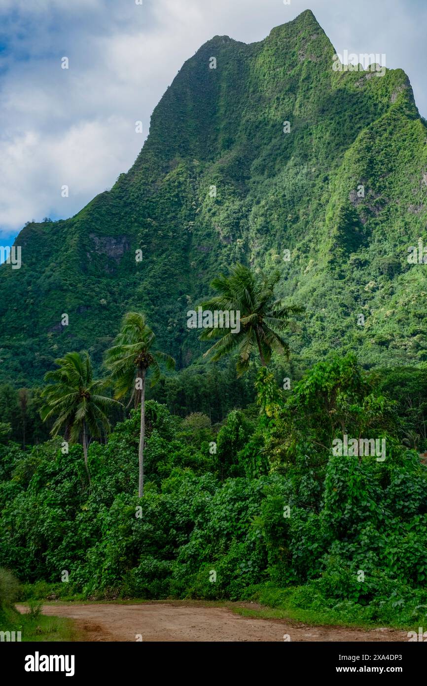 A lush green mountain peak towers over a tropical landscape, with palm ...