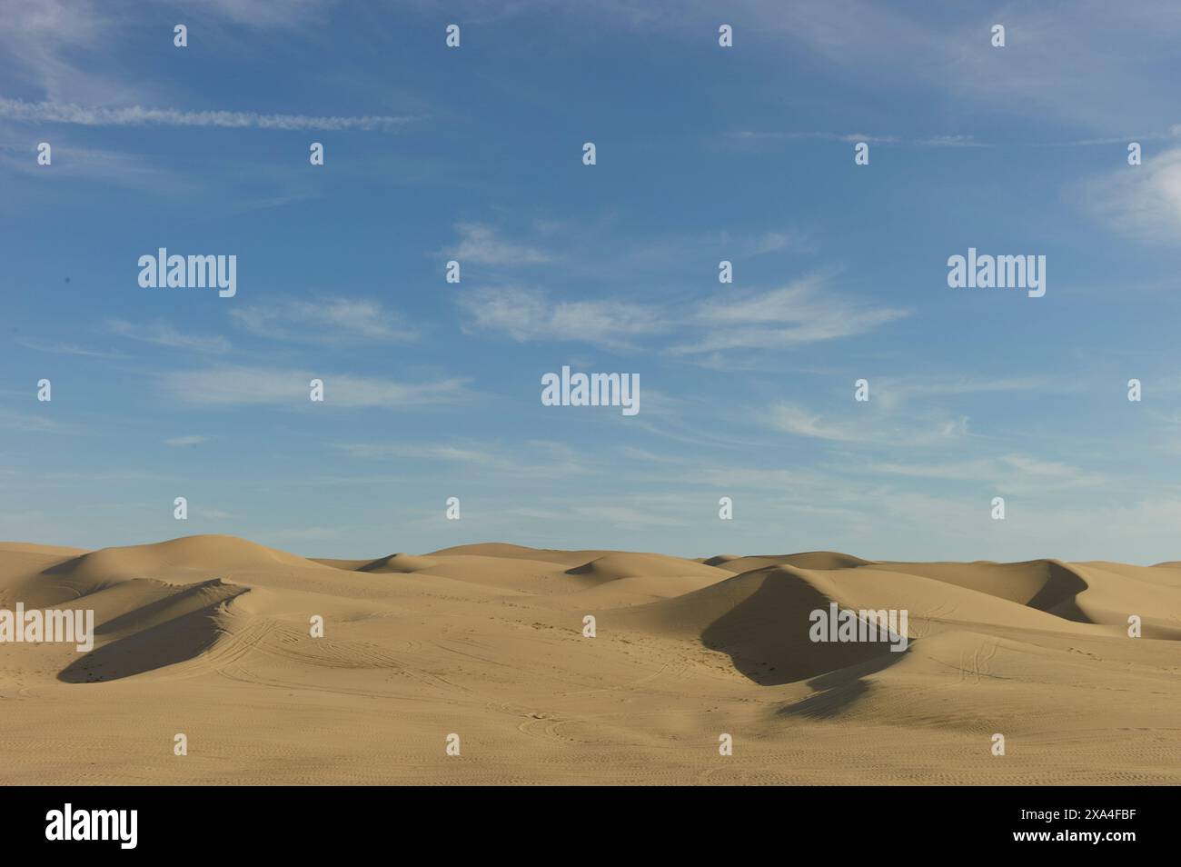 Gentle waves of golden sand dunes stretch under a bright blue sky with ...