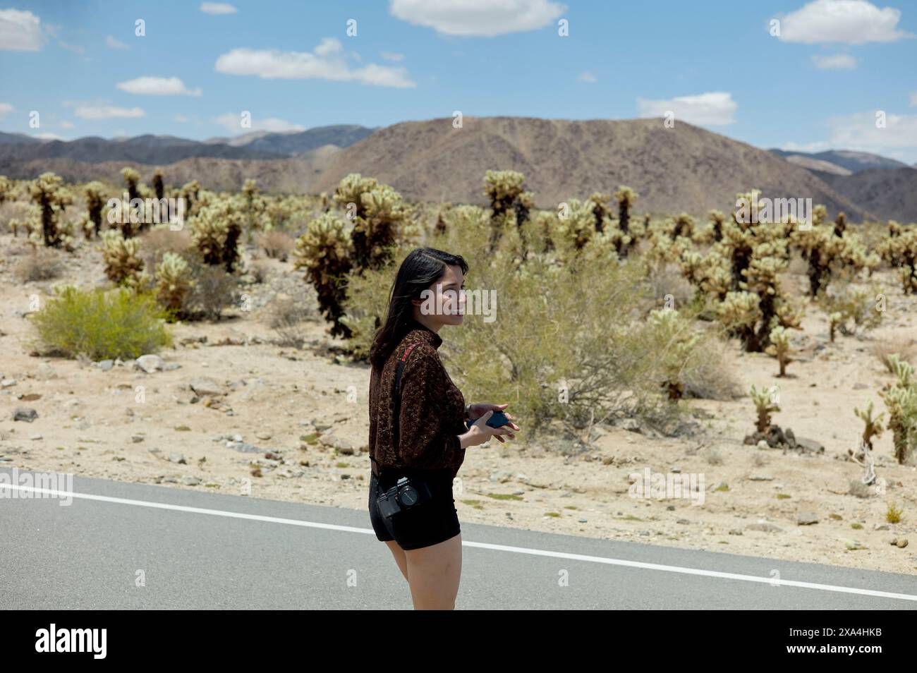 A woman stands beside a road surrounded by desert vegetation under a bright sky with scattered clouds. Stock Photo