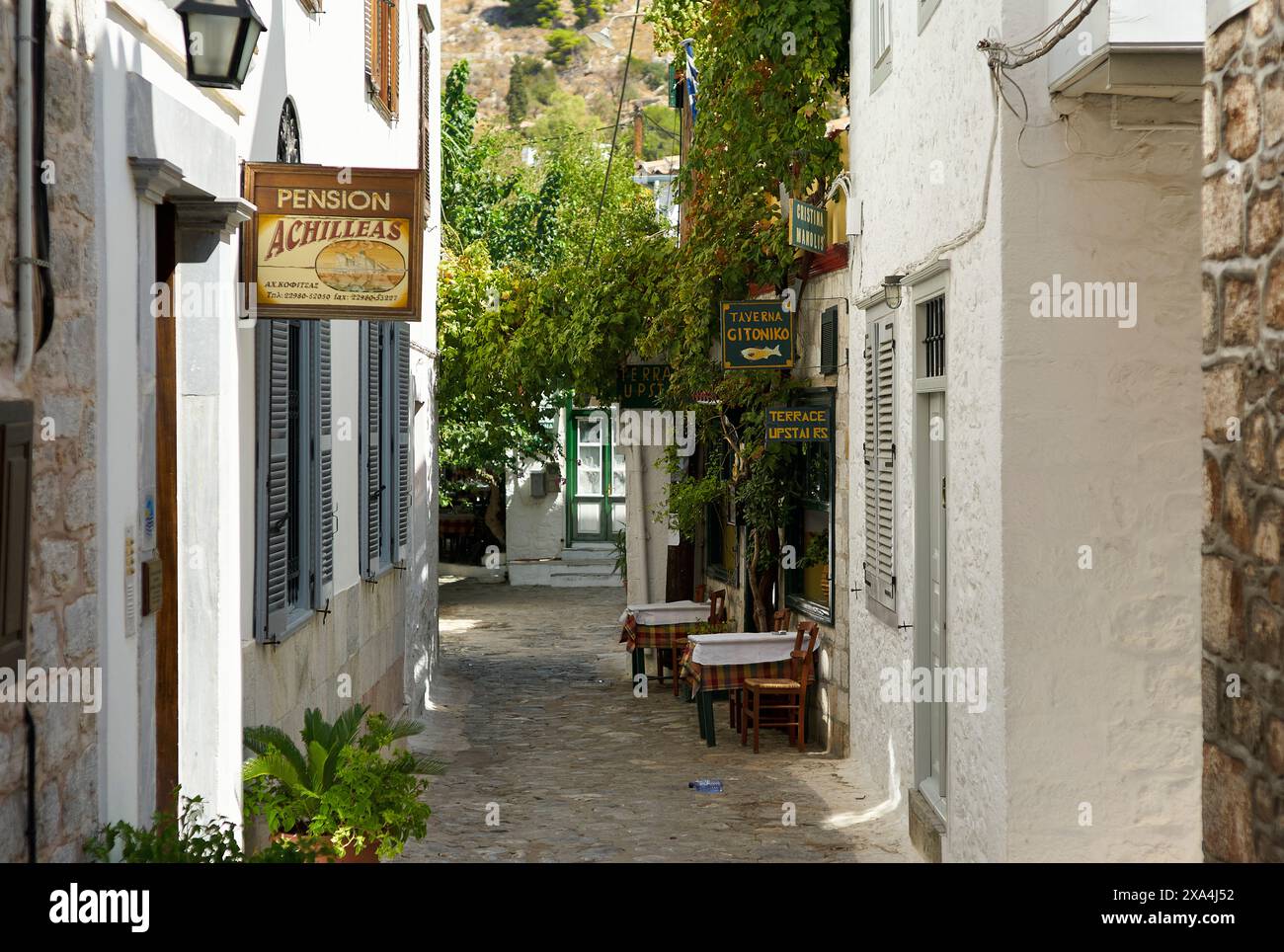 A quaint cobblestone alley flanked by traditional white buildings, with signs for a pension and a taverna, and outdoor seating under a canopy of green leaves. Stock Photo