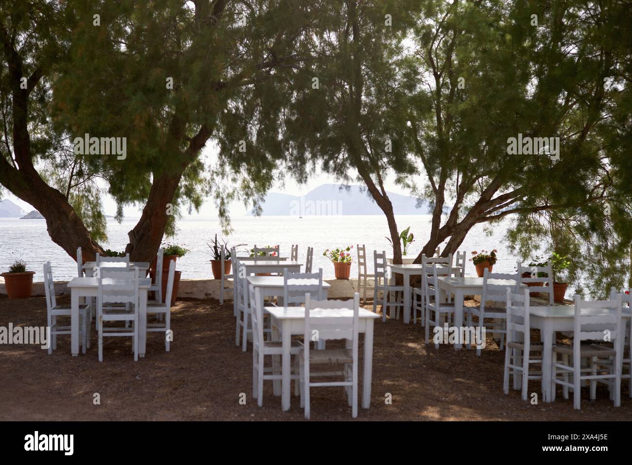 White chairs and tables set up for a seaside dining experience under the shade of trees with a view of the ocean and mountains in the background. Stock Photo