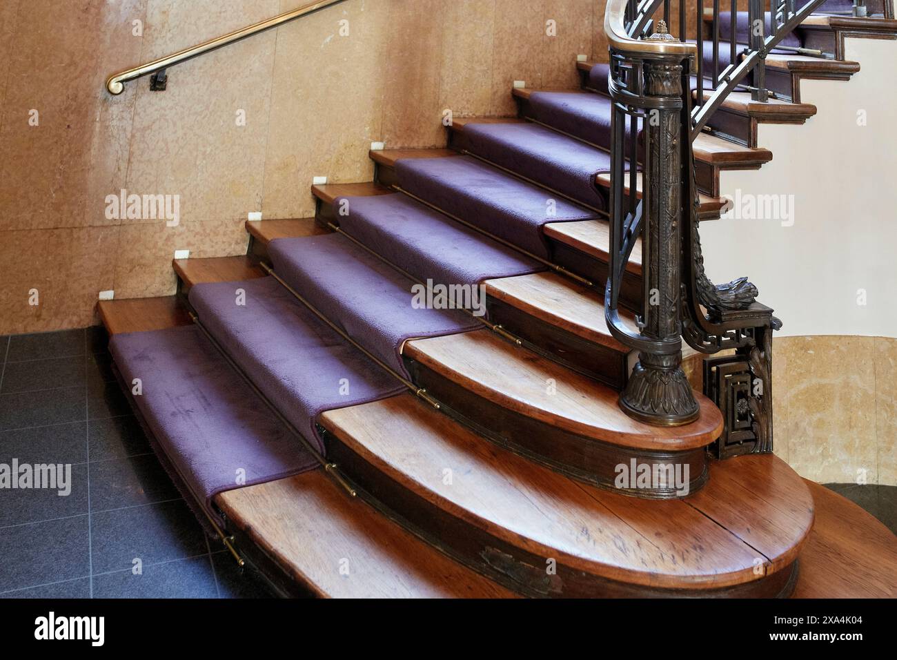 A polished wooden spiral staircase with purple carpeted steps ...