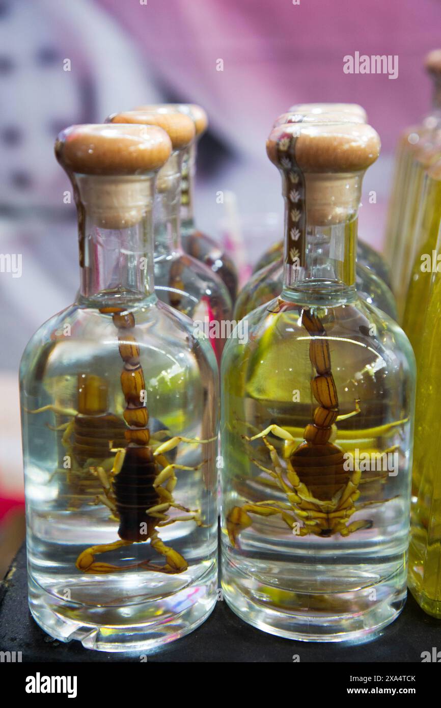 Bottles of Mezcal with Scorpions inside, Zocolo Market, Cholula, Puebla State, Mexico, North America Copyright: RichardxMaschmeyer 801-3732  RECORD DA Stock Photo