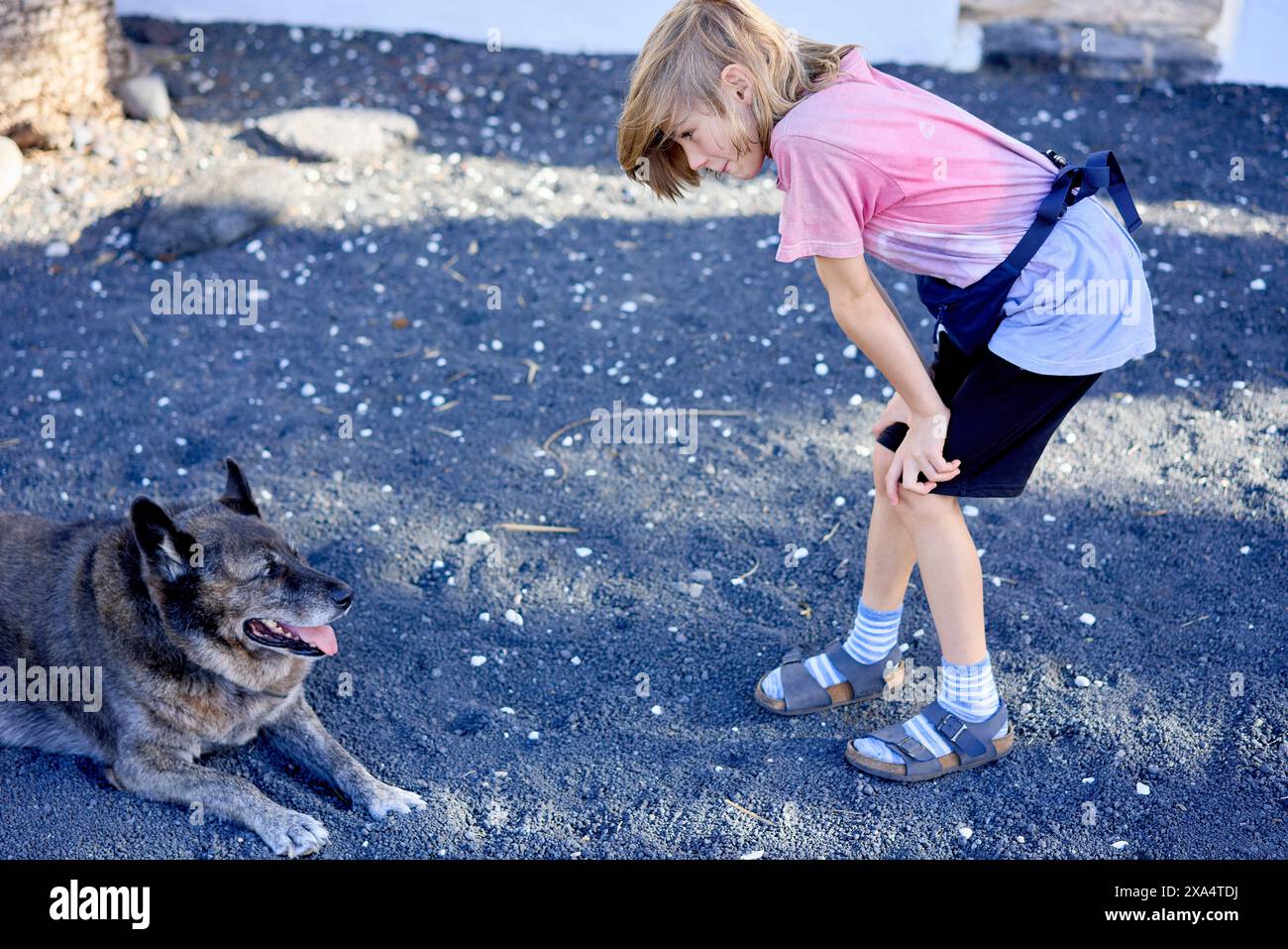 A joyful child plays with a friendly dog on a pebbly surface under a clear sky. Stock Photo