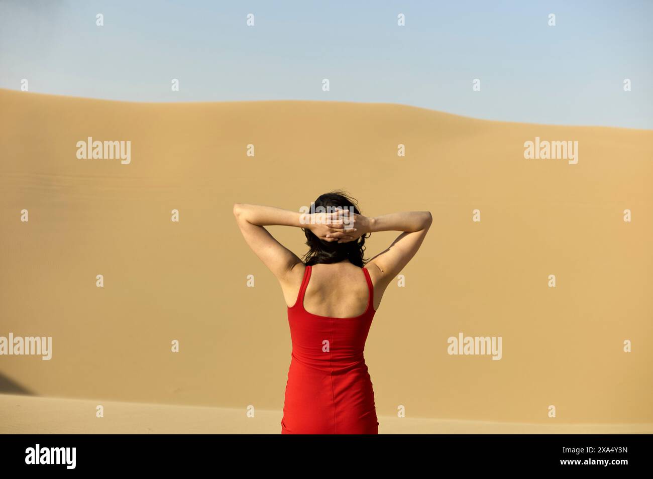 Woman in a red dress standing with hands clasped behind her head, gazing at a vast desert landscape. Stock Photo