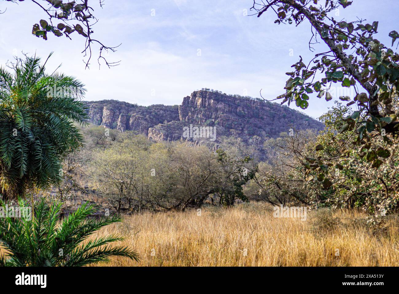 A scenic landscape of Ranthambore National Park in Sawai Madhopur ...