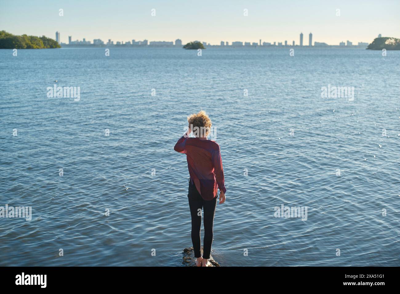 A person stands at the edge of a serene body of water, looking towards a distant city skyline under a clear blue sky. Stock Photo