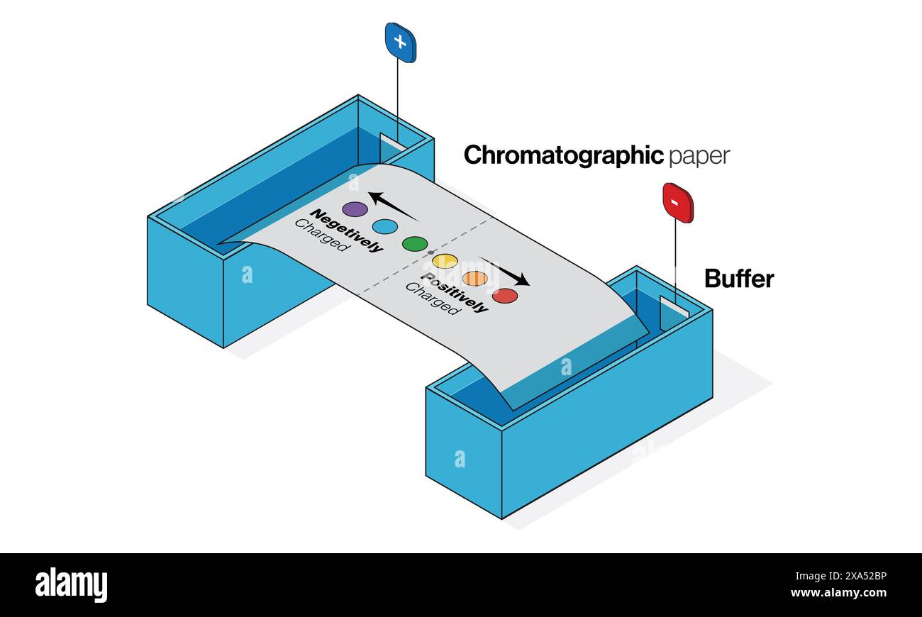 Paper chromatography process hi-res stock photography and images - Alamy