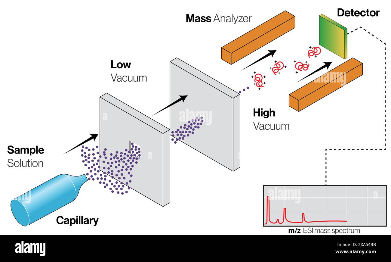 Vector Illustration Of Electrospray Ionization ESI Technique For Mass Vector Illustration Of Electrospray Ionization ESI Technique For Mass
