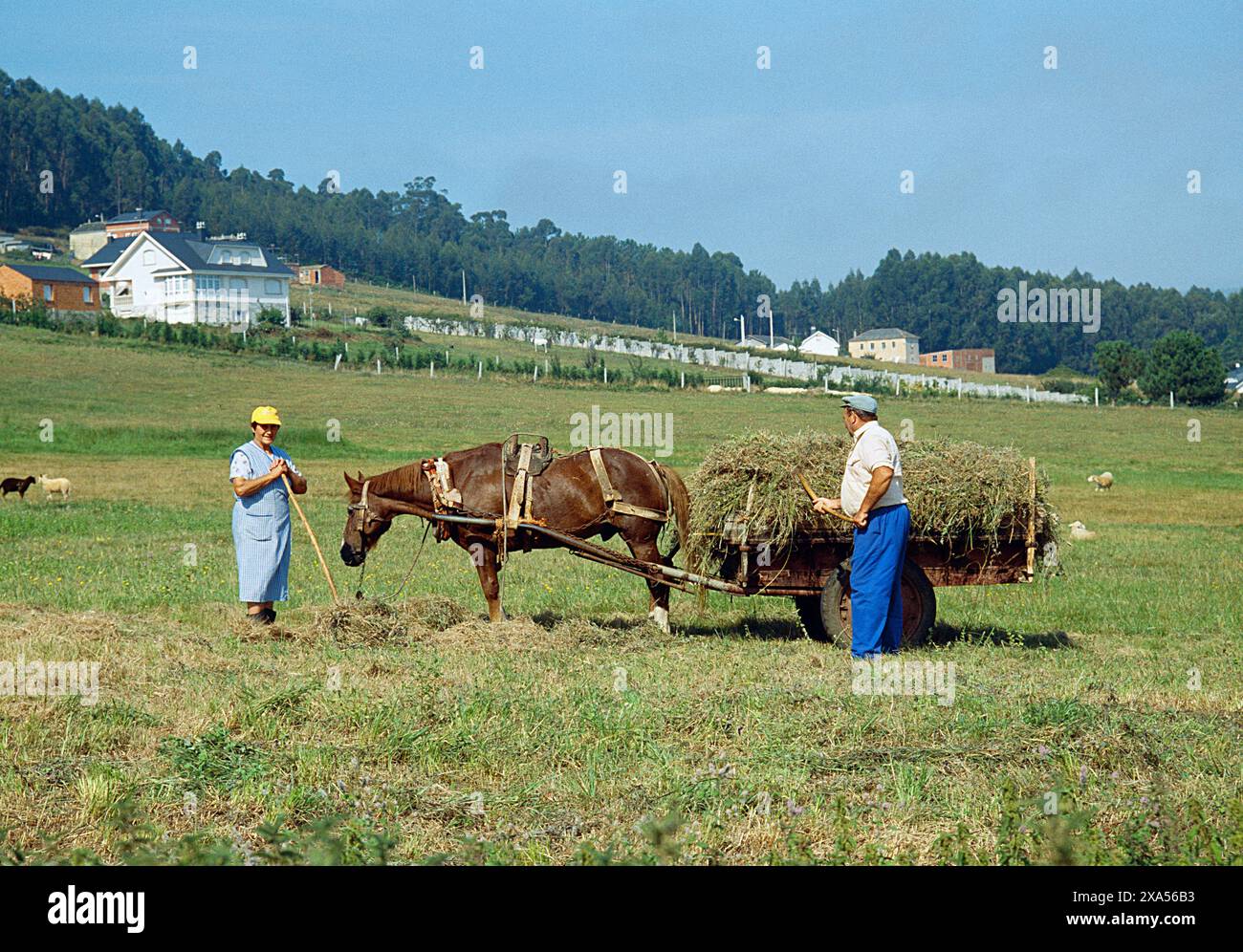 Rural occupations hi-res stock photography and images - Alamy