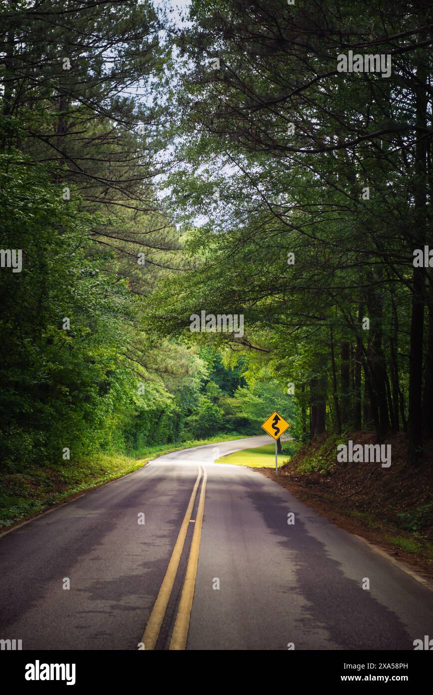 A winding road with a curve ahead sign in a forest of trees Stock Photo