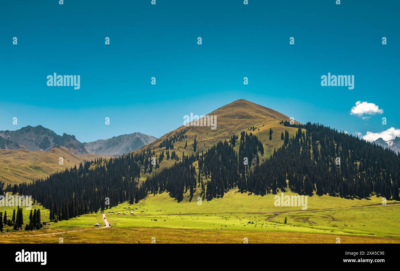 A scenic view of Nalati grassland in the hinterland of Tianshan Mountains in Xinjiang, China Stock Photo