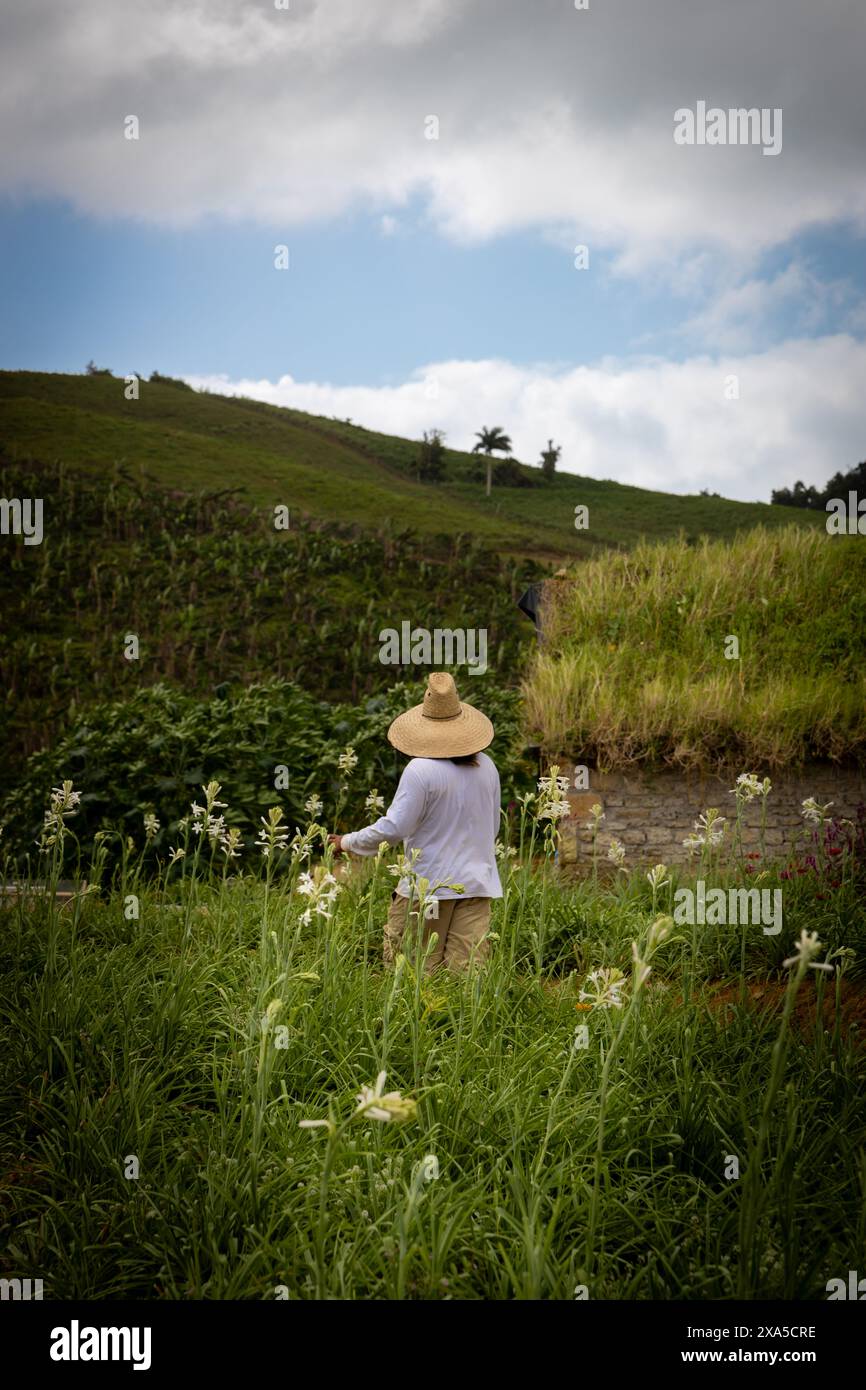 Farmer in colorful hat hi-res stock photography and images - Alamy