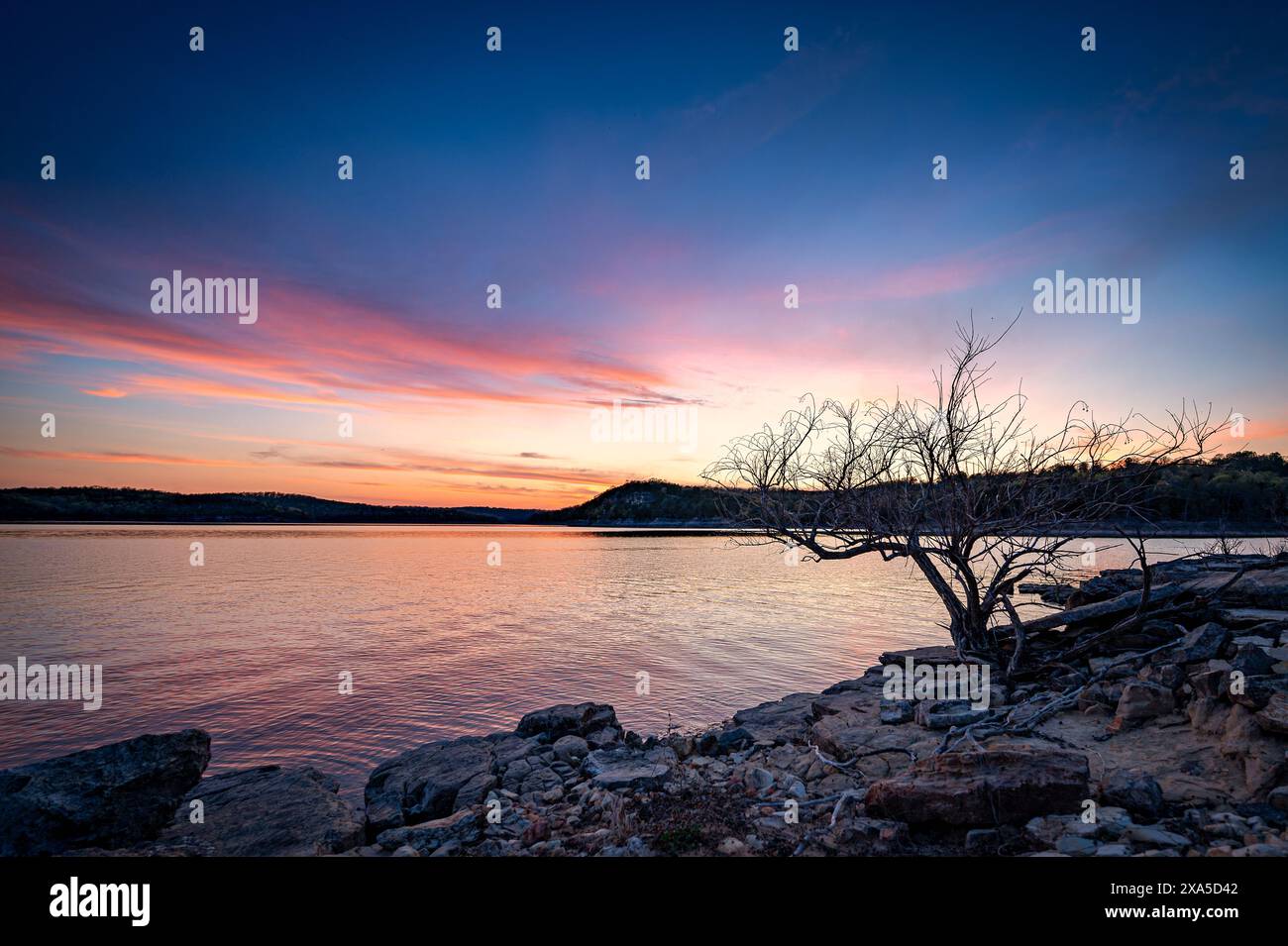A sun setting behind a tree on a rocky shore Stock Photo