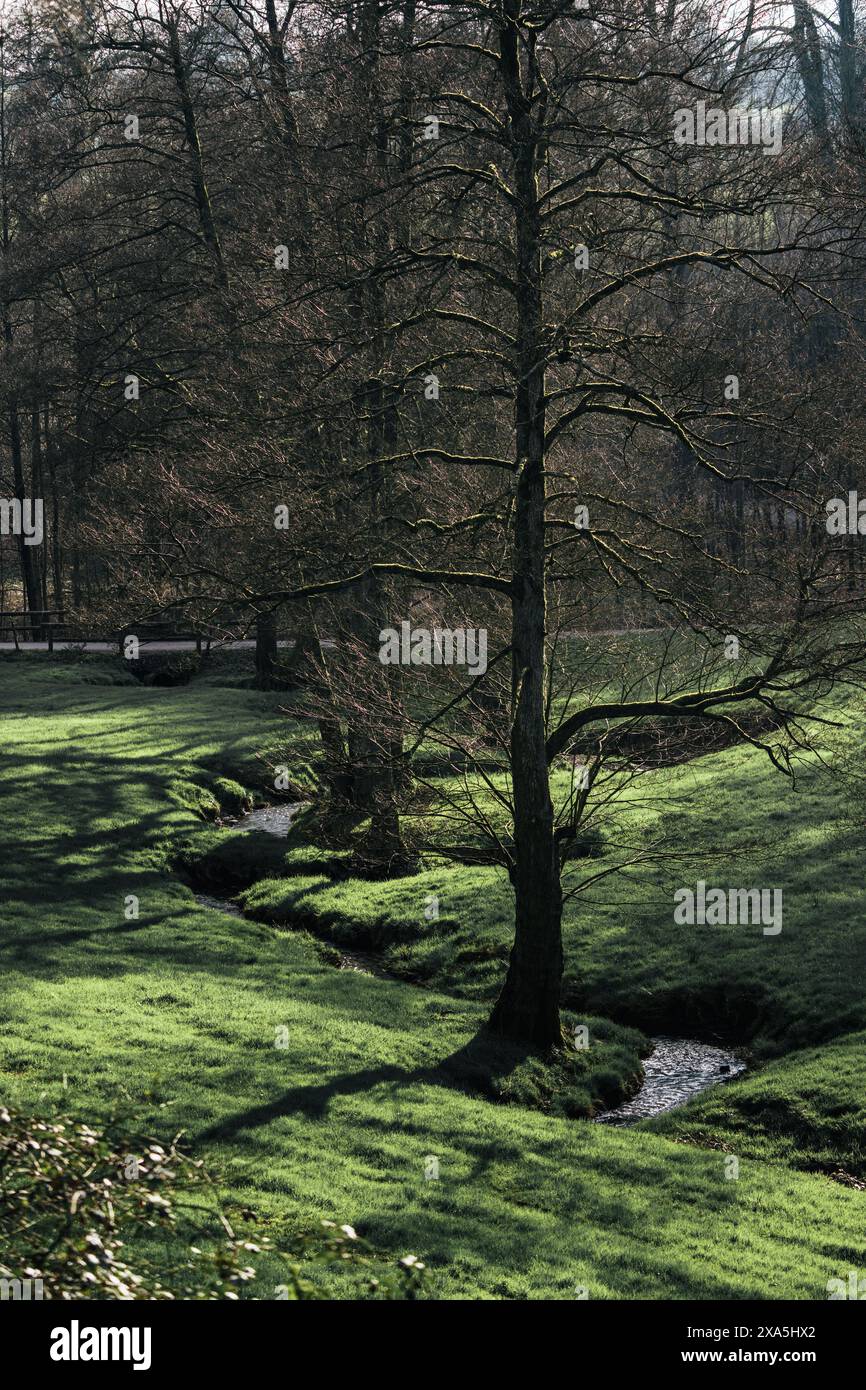 Serene valley setting hi-res stock photography and images - Alamy