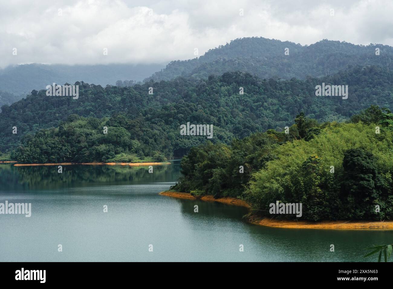 Green lake and rainforest tropical trees in Kuala Kubu Bharu, Malaysia. Stock Photo