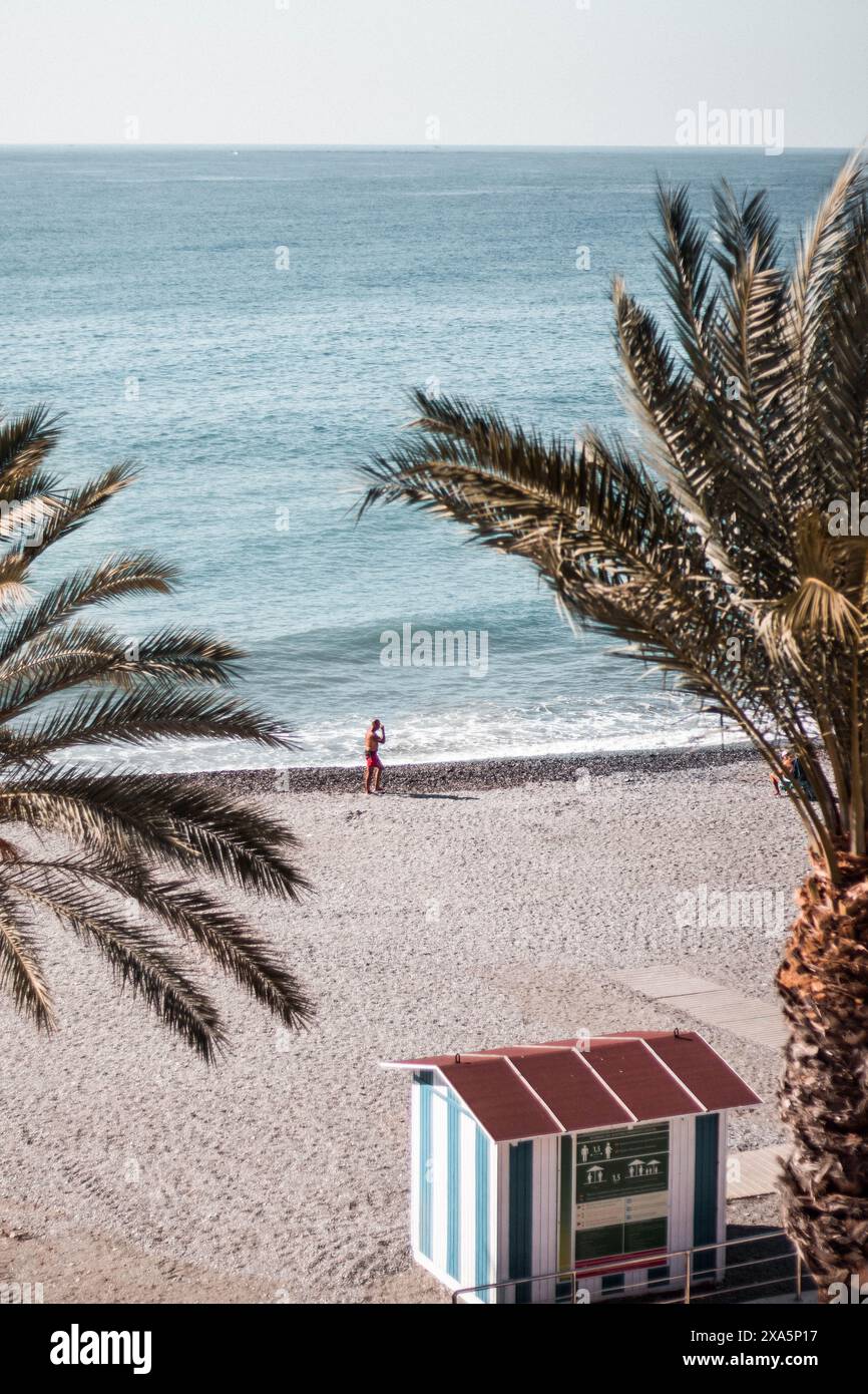 A tropical beach scene with palm trees and a small house in the foreground Stock Photo