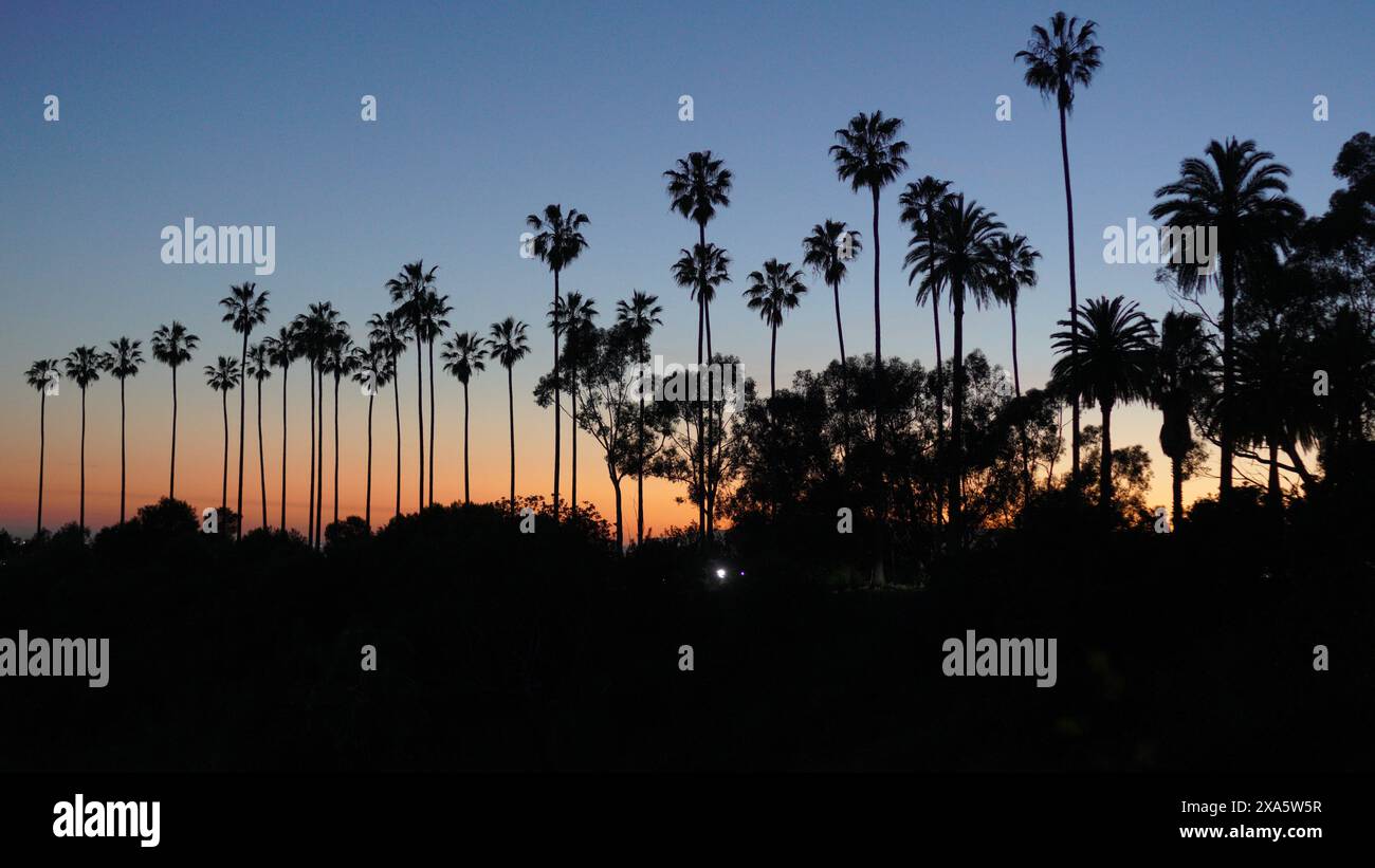 Palm trees silhouetted against a setting sun on the horizon Stock Photo