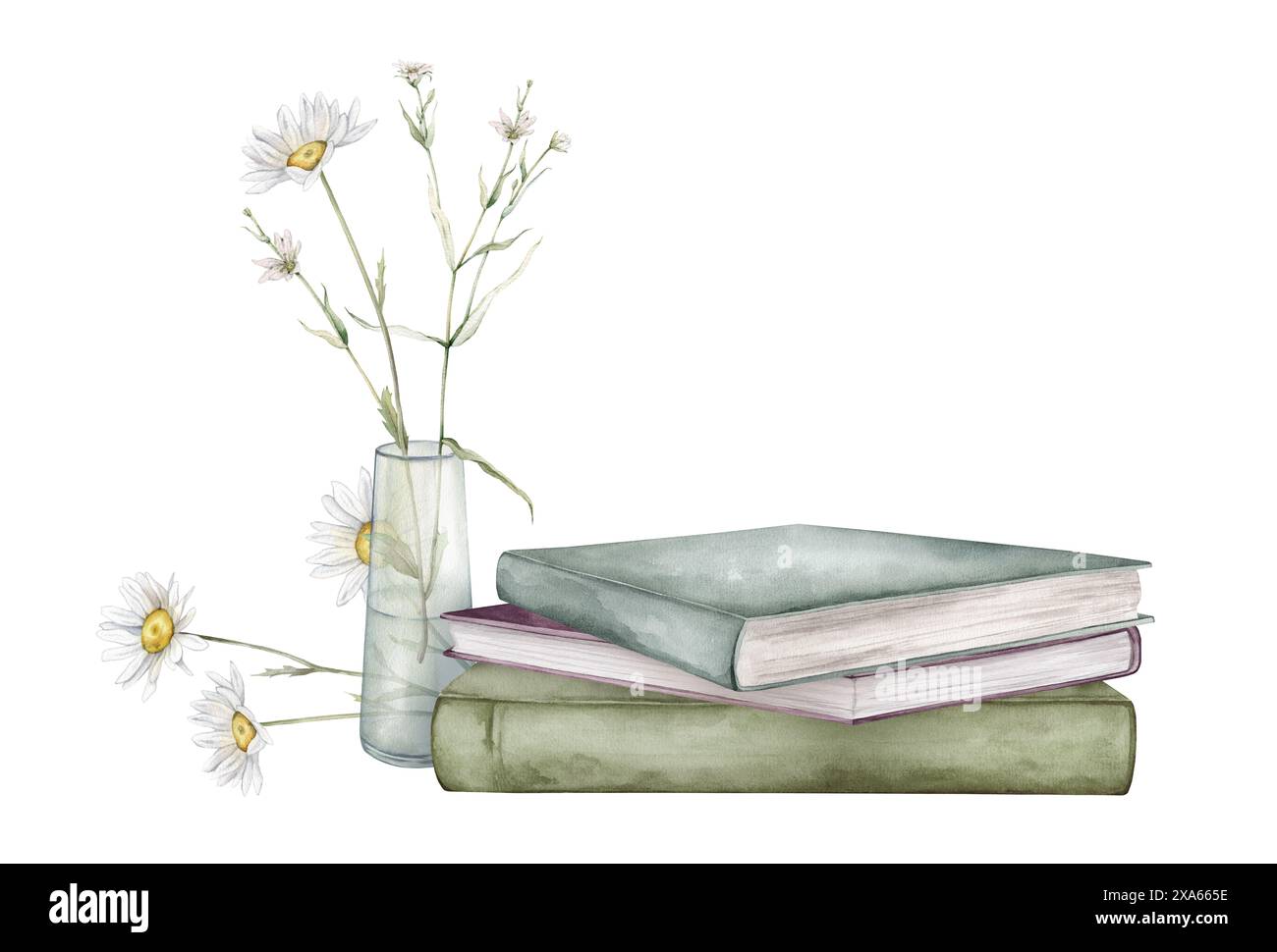 Botanical drawing of stack of books hi-res stock photography and images ...