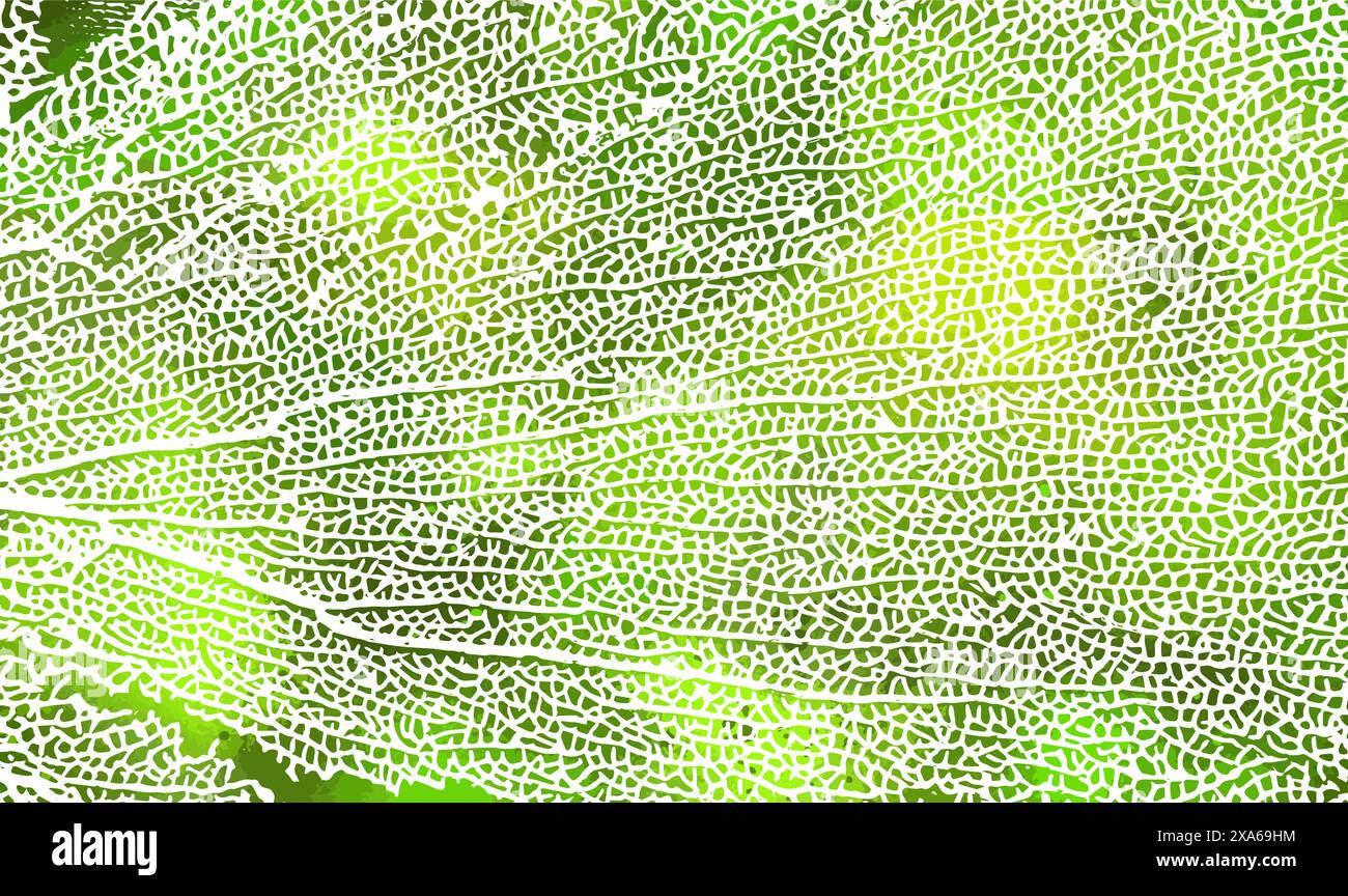 Skeleton green leaf background. Not AI. Vector illustration Stock Vector