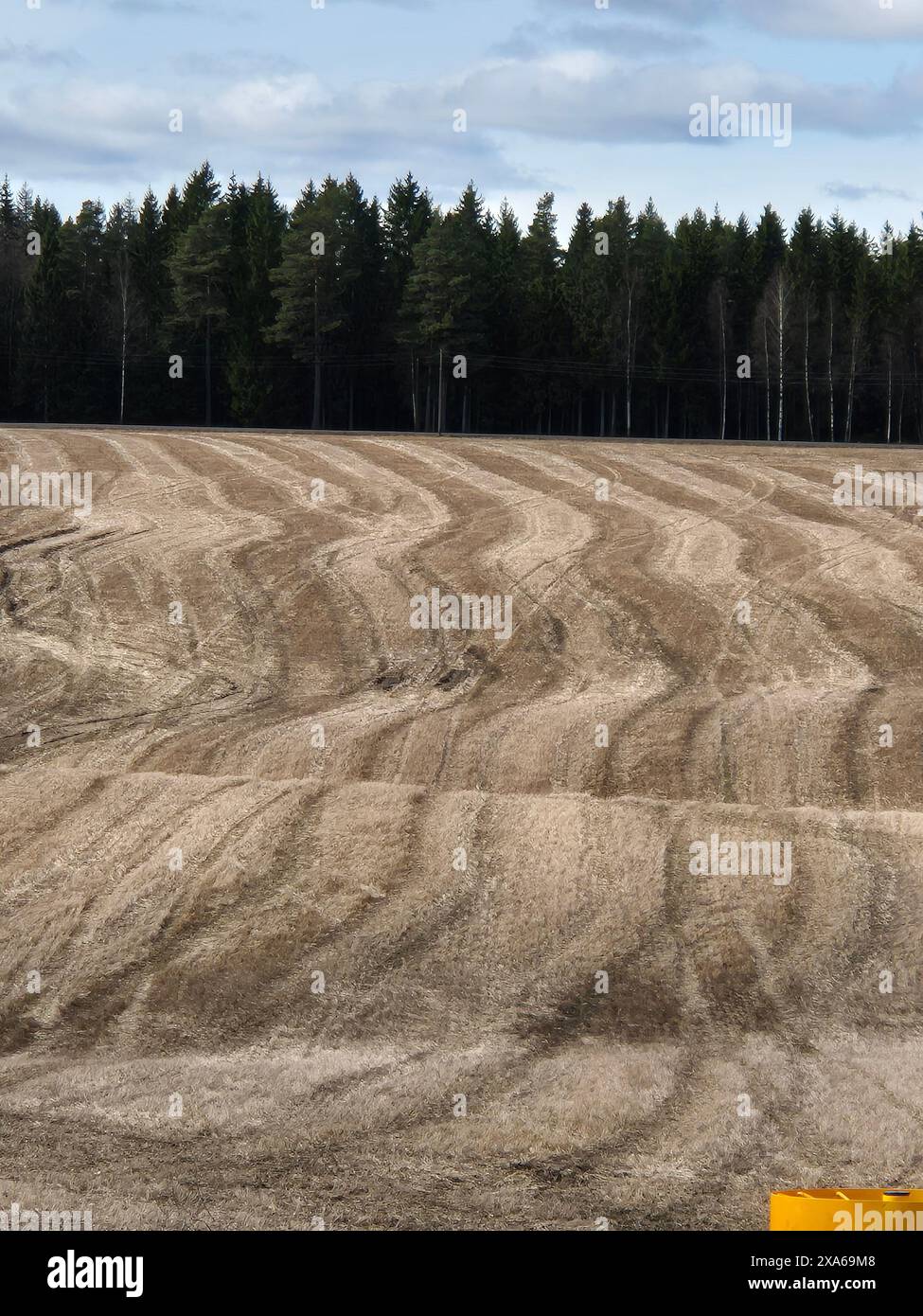 A rural plowed field with multiple trees Stock Photo - Alamy