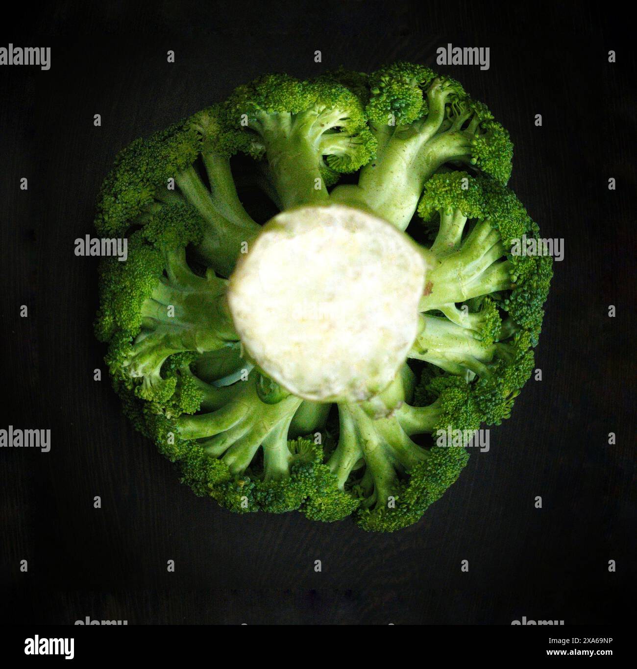 Fresh broccoli florets on a dark background Stock Photo