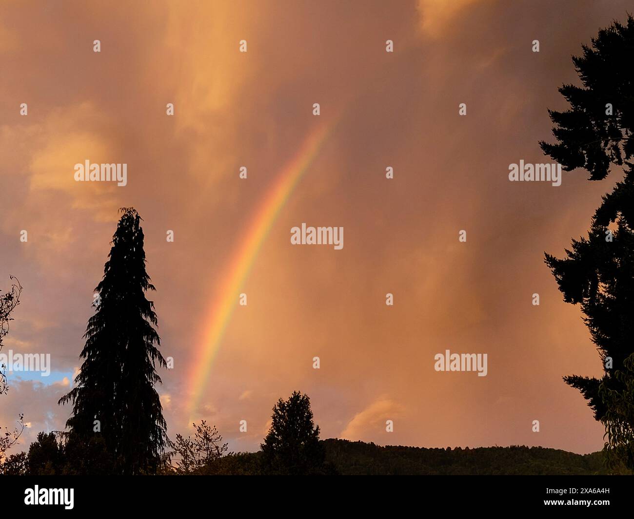 A rainbow appears just after a storm on a summer sunset Stock Photo - Alamy