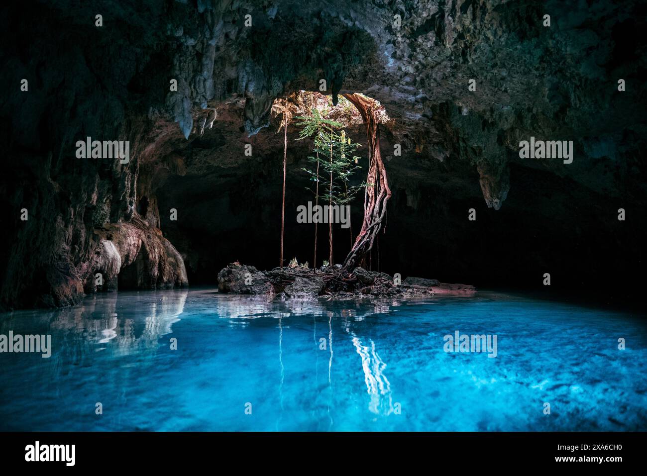 A Scenic View Of Sac Actun Cenote With Blue Water In Tulum, Mexico ...