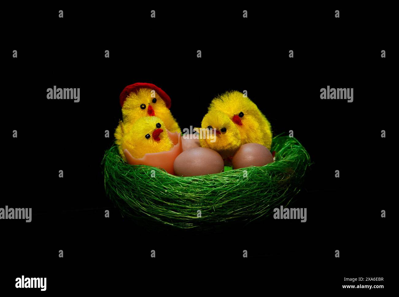 A close-up of an ornamental nest with eggs and chicks on a black background Stock Photo