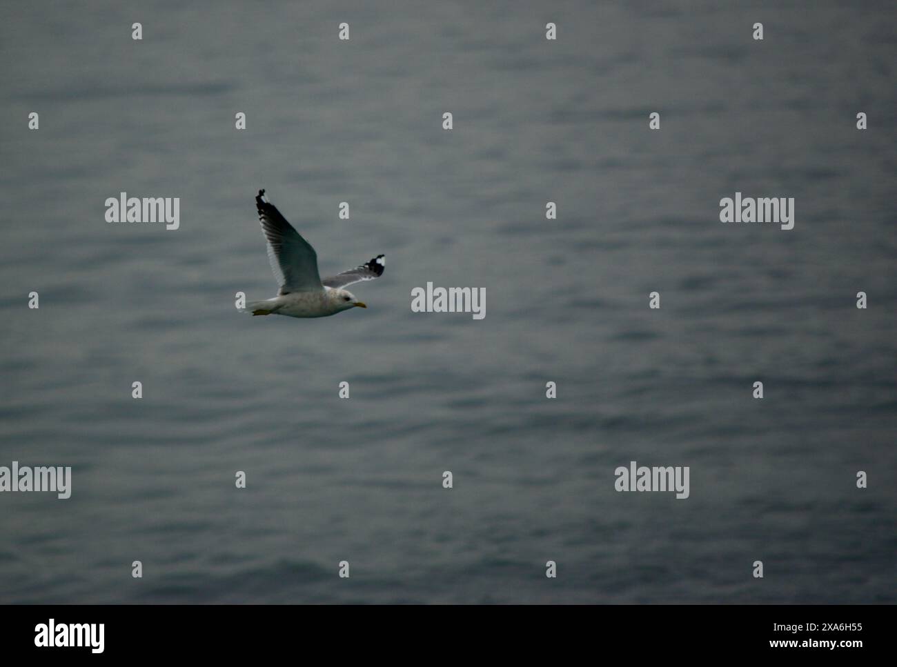 Seto inland sea japan hi-res stock photography and images - Alamy