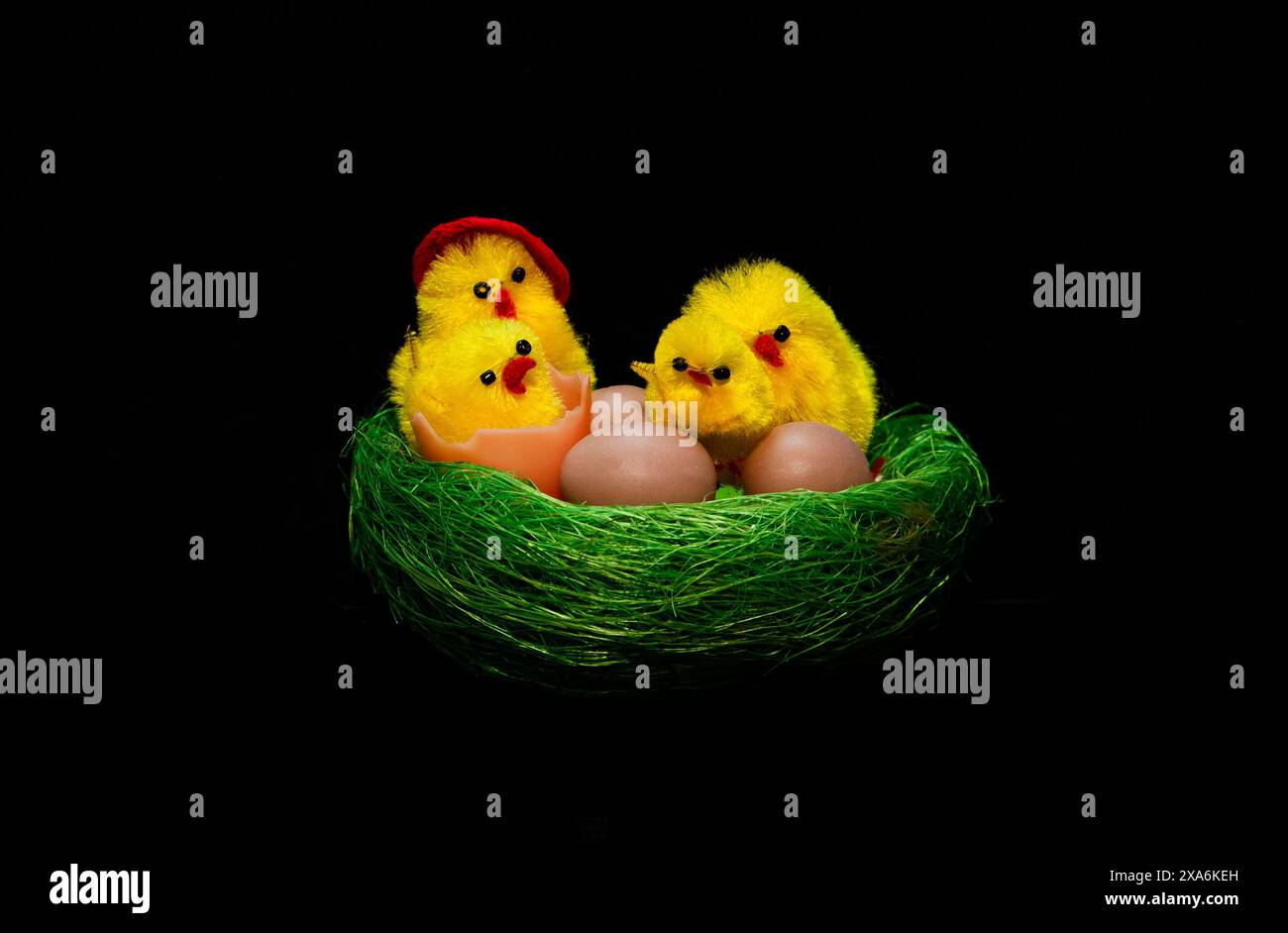 Easter nest with ornamental eggs & chicks on black backdrop Stock Photo